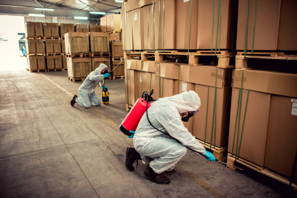 Wildlife Control Services in Morocco, IN