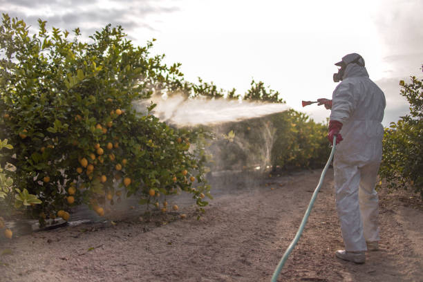 Best Commercial Pest Control Services  in Morocco, IN