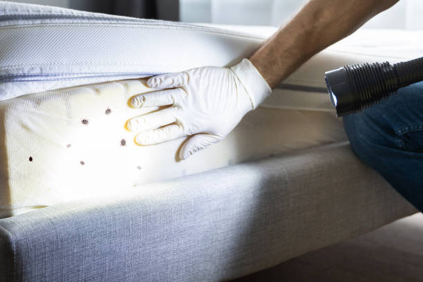 Trusted Morocco, IN Pest Control Experts