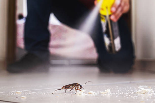 Best Exterminator Services  in Morocco, IN