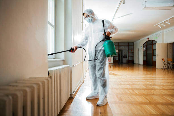 Best Pest Removal Services  in Morocco, IN