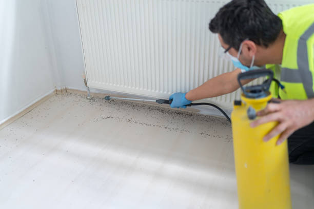 Best Emergency Pest Control  in Morocco, IN